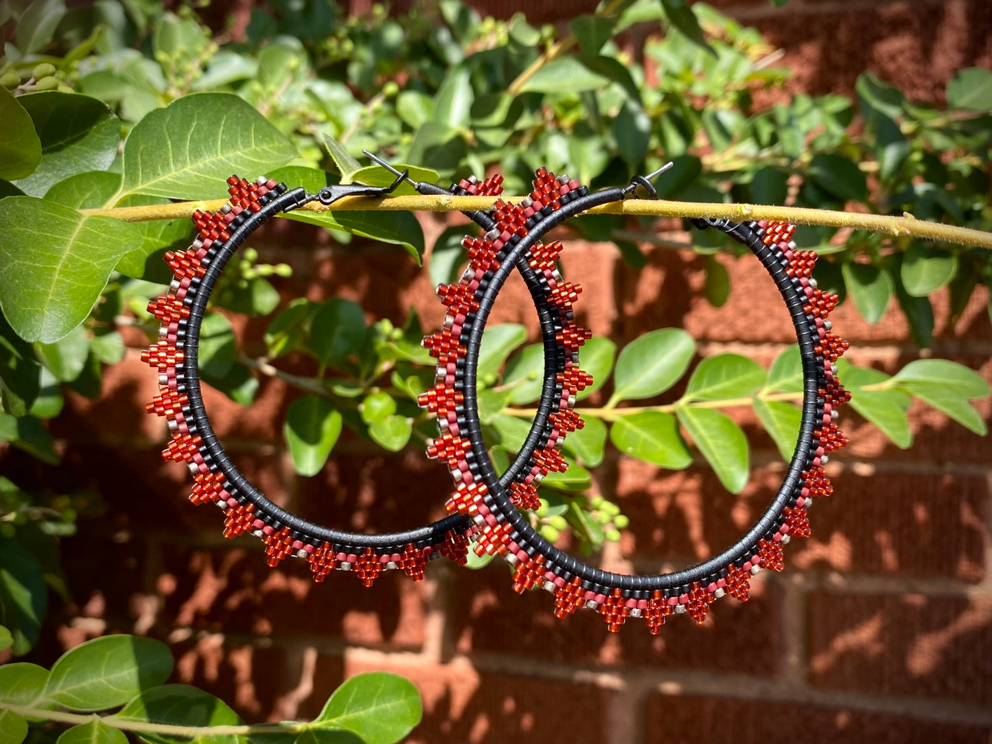 Hishi homi ani hoops