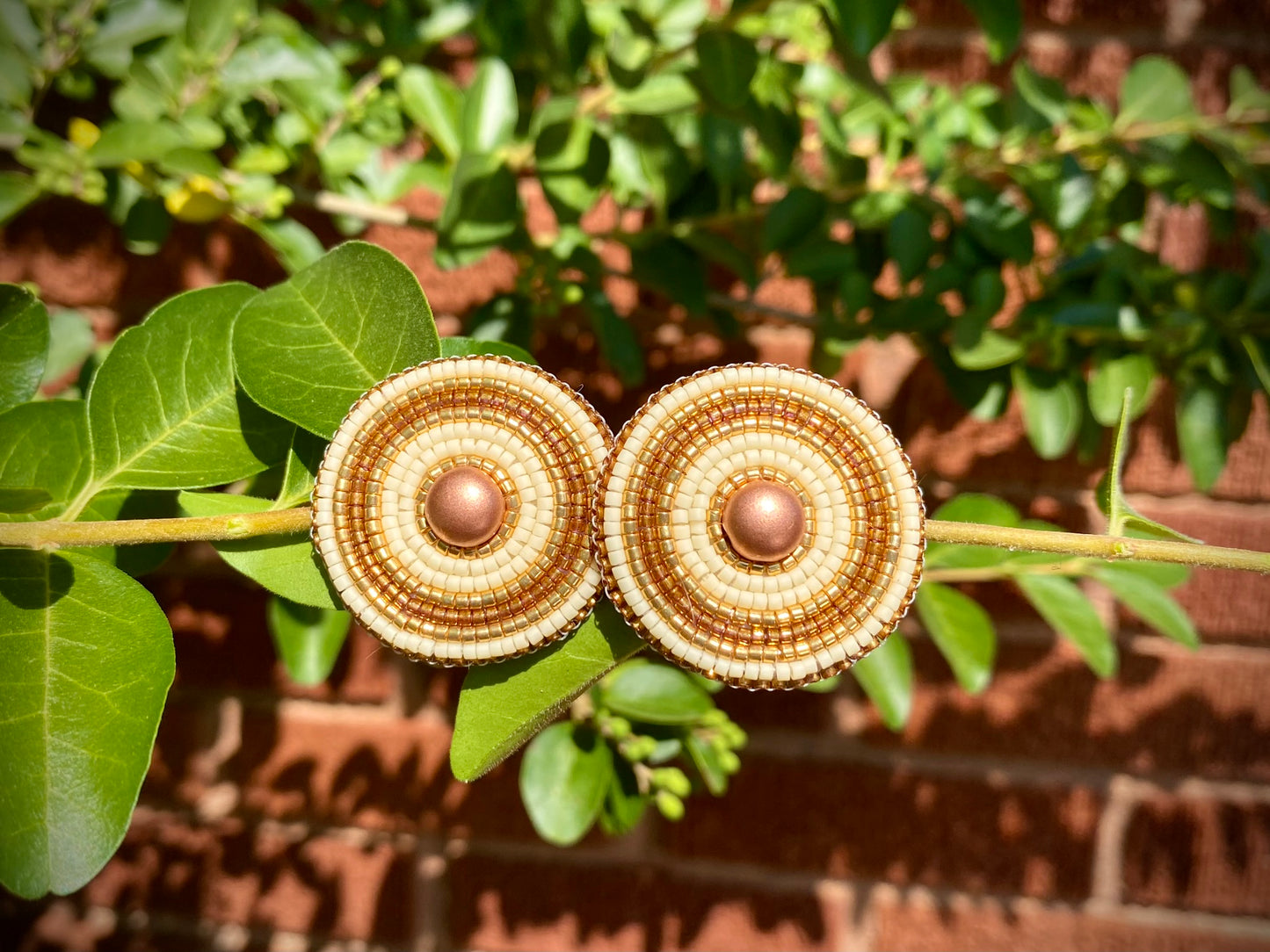 Hvshtula earrings